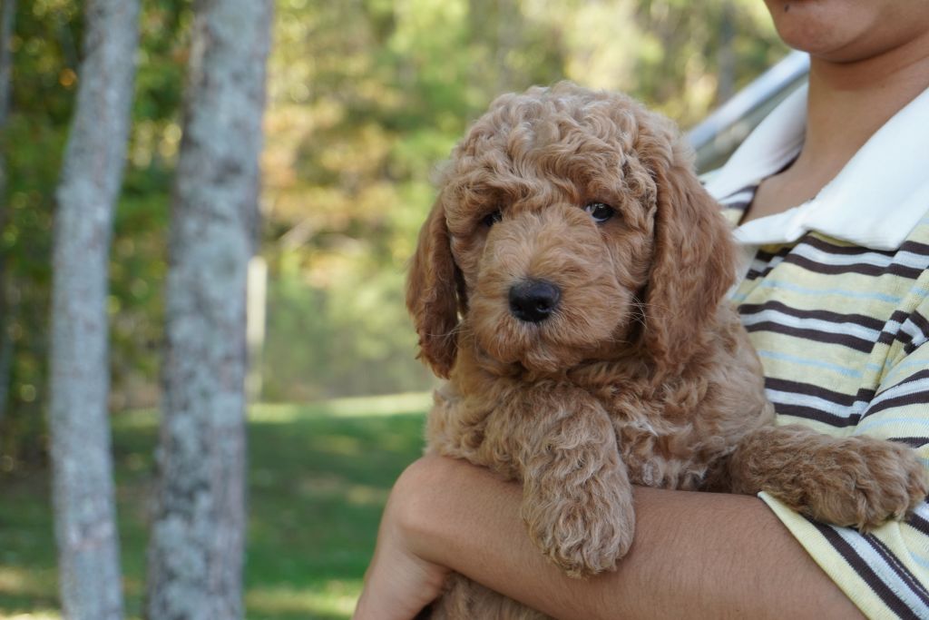 Charley 16 Oct 4