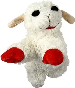 Lamb