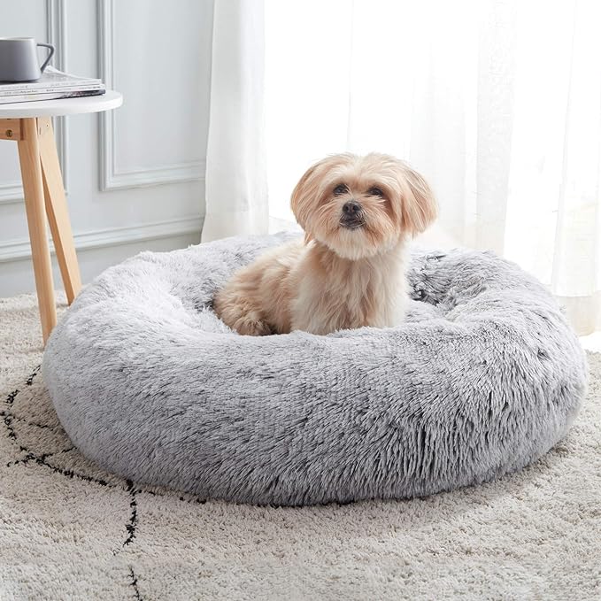 dog bed
